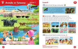 Animals in Tanzania