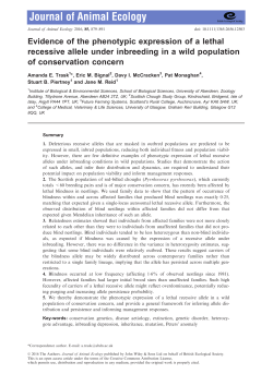 Evidence of the phenotypic expression of a lethal recessive allele