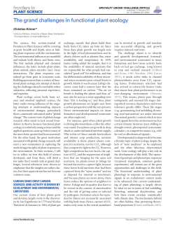 The grand challenges in functional plant ecology