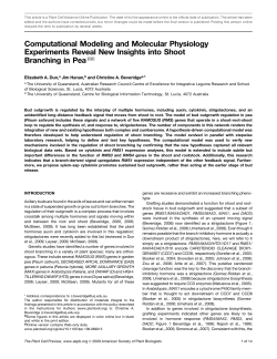 Computational Modeling and Molecular Physiology Experiments