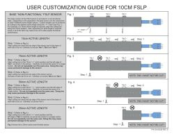 USER CUSTOMIZATION GUIDE FOR 10CM FSLP
