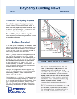 Issue 2 - Bayberry Building Company