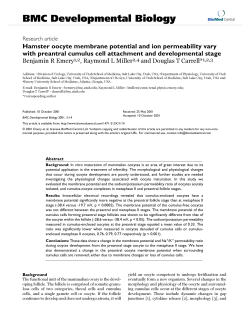 Hamster oocyte membrane potential and ion permeability vary with
