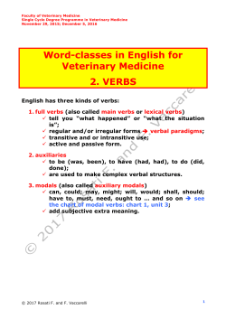 Notes on Verbs in EVM 2017 OK - Progetto e