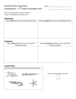 K-2 Scavenger Hunt - South Carolina Aquarium