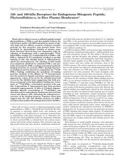120- and 160-kDa Receptors for Endogenous Mitogenic Peptide