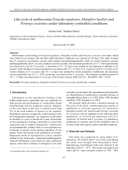 15. Life cycle of earthworms