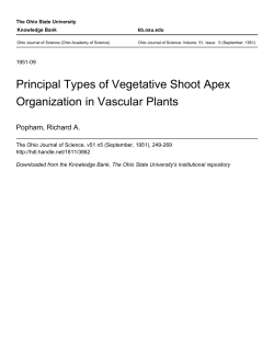 as a PDF