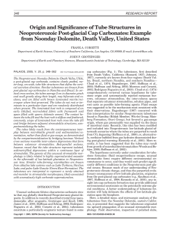 Origin and Significance of Tube Structures in