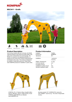 MSC5411 - Giraffe Product Description Product Information