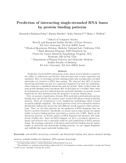 Prediction of interacting single-stranded RNA bases by protein