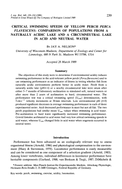 critical swimming speeds of yellow perch perca flavescens
