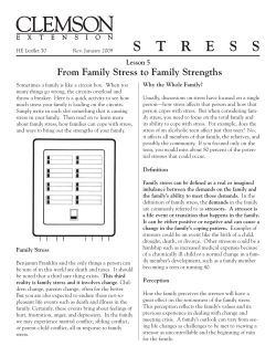From Family Stress to Family Strengths