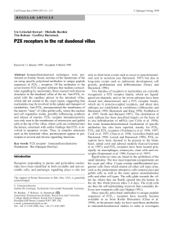P2X receptors in the rat duodenal villus