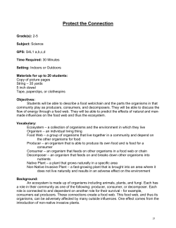 Protect the Connection