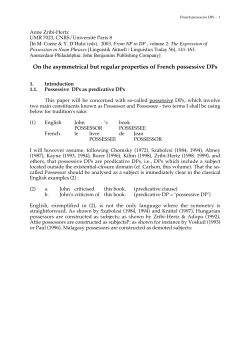 On the asymmetrical but regular properties of French possessive DPs