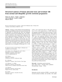 Structural analysis of human placental stem and terminal villi from