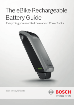 Bosch Battery Care Guide