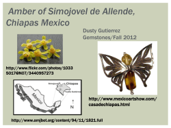 Amber of Simojovel de Allende, Chiapas Mexico