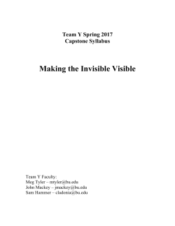 Team Y Capstone Syllabus