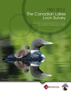 The Canadian Lakes Loon Survey