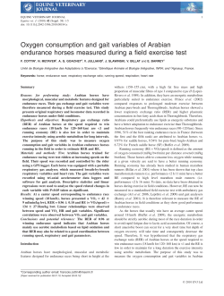 Oxygen consumption and gait variables of Arabian endurance
