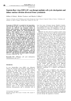 Epstein-Barr virus EBNA3C can disrupt multiple cell cycle