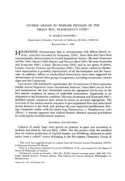 inverse meiosis in triploid females of the mealy
