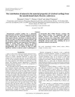 The contribution of mineral to the material properties