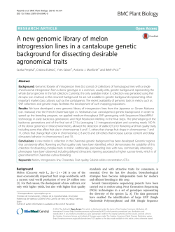 A new genomic library of melon introgression lines in a cantaloupe