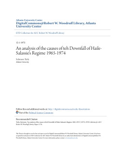 An analysis of the causes of teh Downfall of Haile