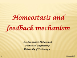 Homeostasis and feedback mechanism