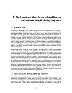 5 The Dynamics of Mixed Sand-and