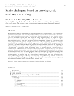 Snake phylogeny based on osteology, soft anatomy and ecology