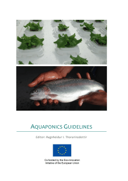 aquaponics guidelines