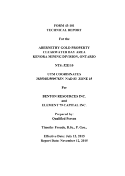 FORM 43-101 TECHNICAL REPORT For the