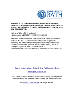 Instrumentalism, idealism and imaginaries