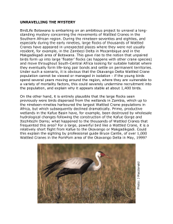 UNRAVELLING THE MYSTERY BirdLife Botswana is embarking on