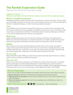 The Ramble - Central Park Conservancy