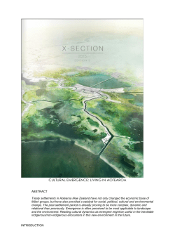 cultural emergence: living in aotearoa