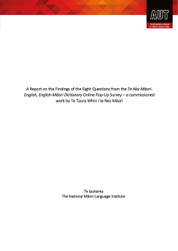 Te Aka Pop-up Survey Report