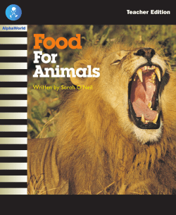 Food For Animals