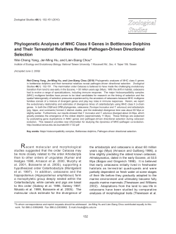 Phylogenetic Analyses of MHC Class II Genes in Bottlenose