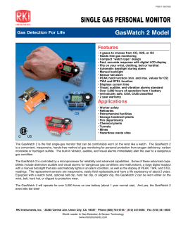 SINGLE GAS PERSONAL MONITOR