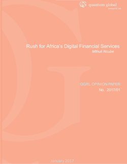 Rush for Africa`s Digital Financial Services