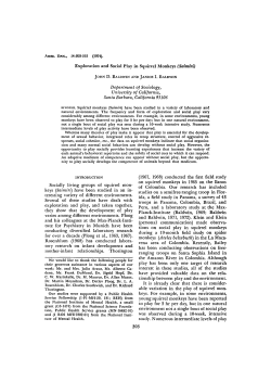 Exploration and Social Play in Squirrel Monkeys (Saimiri