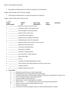 BIO101 Photosynthesis Worksheet 1. Rearrange the following