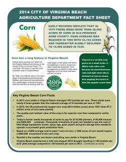Corn Fact Sheet - City of Virginia Beach