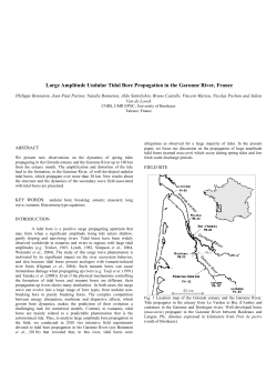Large Amplitude Undular Tidal Bore Propagation in