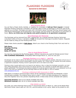 How Flocking Works You can flock a friend, family